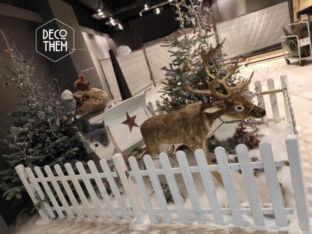 Noël Le Carô Centre renne + traîneau, barrières blanches, animaux peluches, oiseaux, sapin illuminé, guirlandes lumineuses, écureuils, traineau, hérrisson, renne du Père-Noel